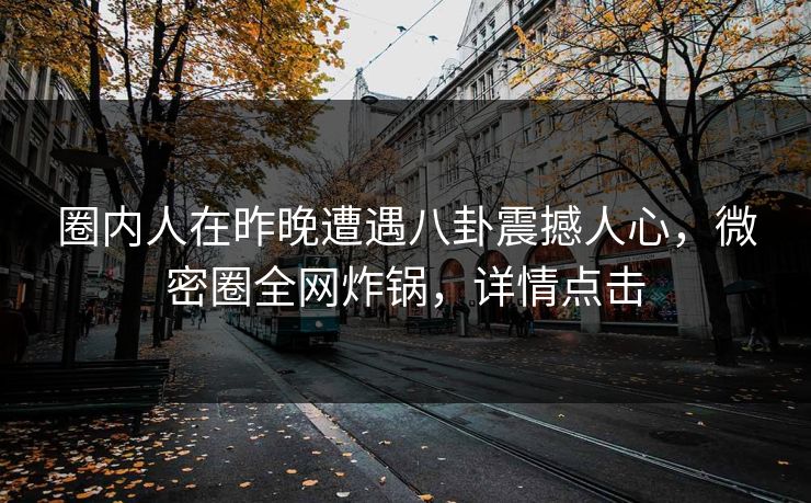 圈内人在昨晚遭遇八卦震撼人心，微密圈全网炸锅，详情点击