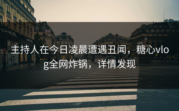 主持人在今日凌晨遭遇丑闻，糖心vlog全网炸锅，详情发现